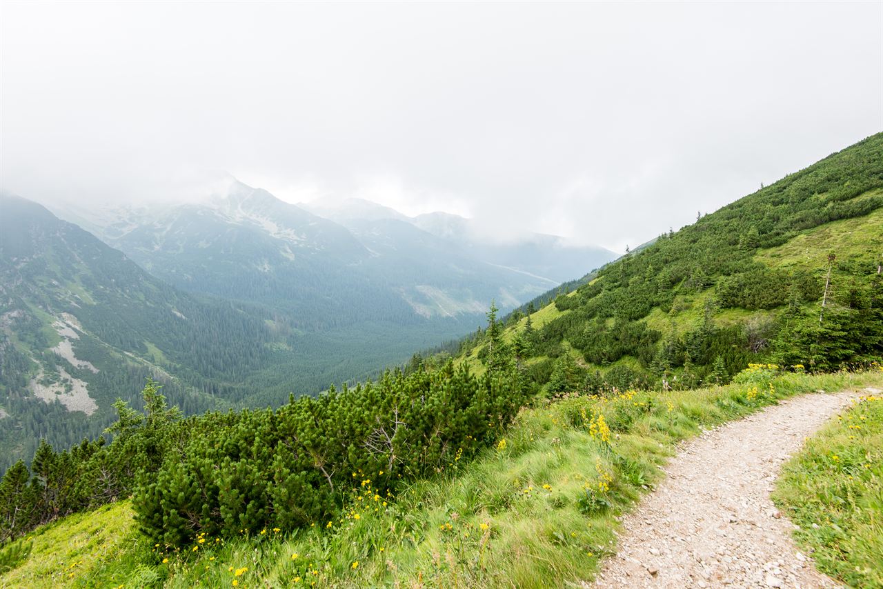 Upland Eco-Trails